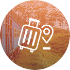 POLYTRIPS